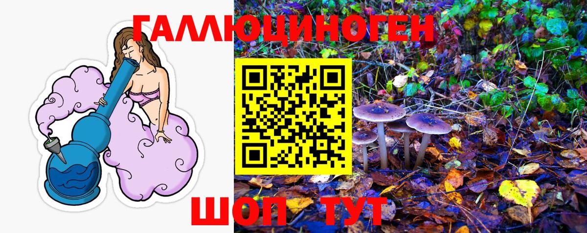 Кстово  Псилоцибиновые грибы прущие грибы  Вход с VPN 