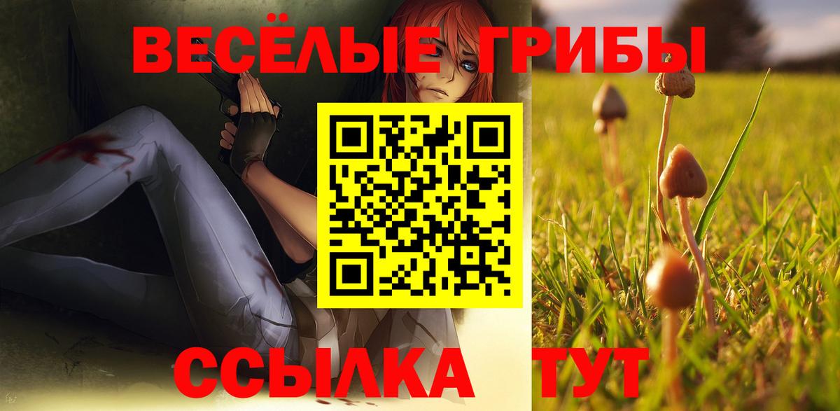 Псилоцибиновые грибы мицелий Кстово